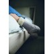 52 Semanas de Calcetines - Laine