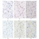 The Basic Bubbles - Katia