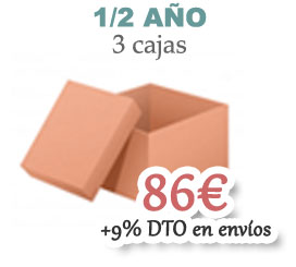 Opción 2